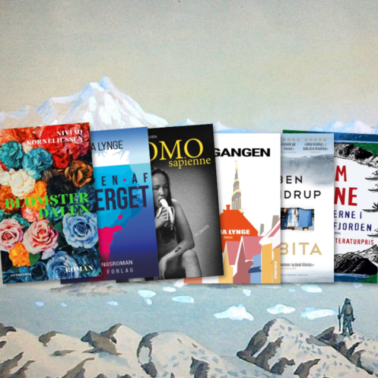 Foto af grønlandske romaner. Lånt fra bronderslevbib.dk