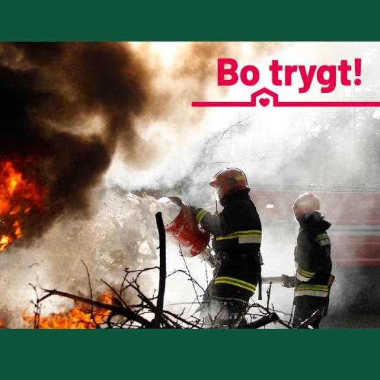 Foto: colourbox.dk + logo fra Bo Trygt 