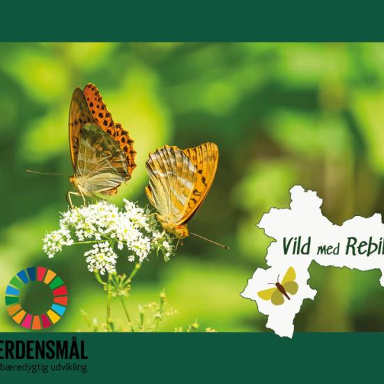 Foto: colourbox.dk med logoer fra Vild med Rebild & Verdensmål