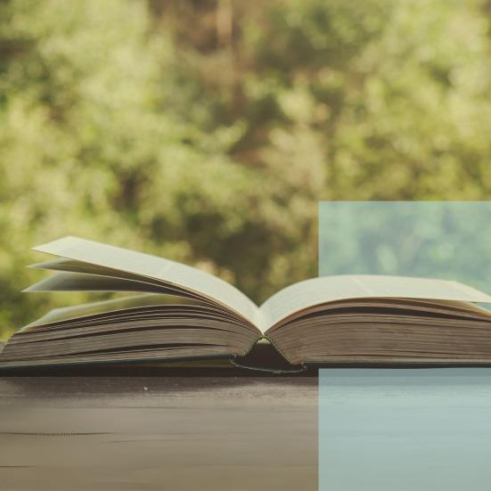 Foto af opslået bog