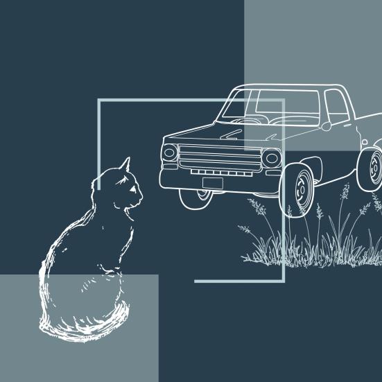 stregtegning af en kat og en bil
