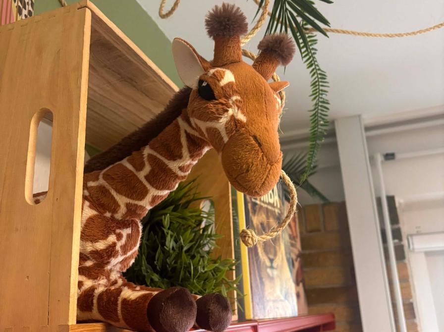 Terndrup Bibliotek - børneområde, safaritema!